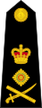 영국 해병대 대장 견장