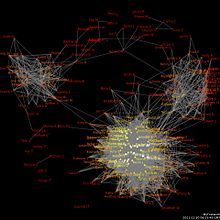 Un diagramma di social network che mostra le tribù raggruppate da legami di amicizia tra un gruppo di utenti di Facebook
