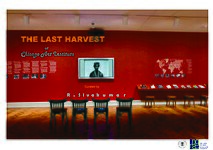 Last Harvest in Chicago