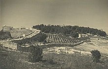 Uniwersytet Hebrajski w Jerozolimie, 1935 - 1937