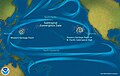 Image 51Pacific Ocean currents have created three islands of debris. (from Pacific Ocean)