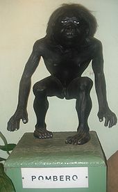 Photographie d'une sculpture amérindienne