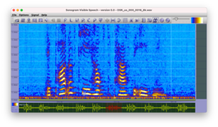 Spectrogram (generated with the freeware Sonogram visible Speech).