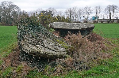 Les dolmens de Coat-Luzuen.