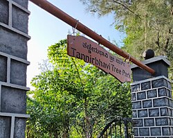 Entrance of the Tannirbhavi Tree Park in Mangalore
