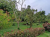 Kadri Park in Mangalore - Garden near the Alley walkway