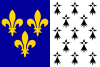 Flag of Brest