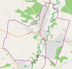 Mapa konturowa Nowego Miasta Lubawskiego, blisko centrum na prawo znajduje się punkt z opisem „Bazylika św. Tomasza Apostoła w Nowym Mieście Lubawskim”