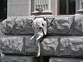 Водостік Будинку із химерами у вигляді голови слона, Київ