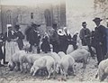 Le marché aux cochons de Quimperlé vers 1900