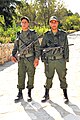 ステアーAUGを装備して、アントニヌス浴場近くの大統領邸を警備するチュニジア軍兵士