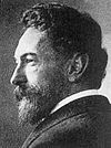 Richard Zsigmondy etwa 1900