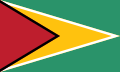 Знаме на Гвајана