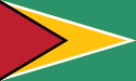 Гайана улсын далбаа
