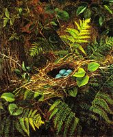 Naturaleza muerta con el nido de Robin, 1863