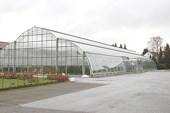 Greenhouse of Rosen Tantau