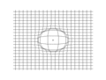 Propagazione di onde compressionali sferiche (Onde P), rappresentata su una griglia bidimensionale.
