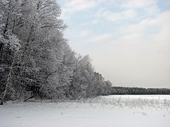 La réserve naturelle de Rivne.