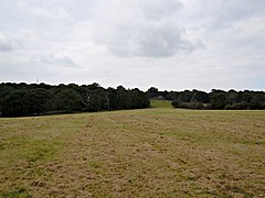 Oxleas meadows (Green Chain Walk)