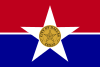 डैलस Dallas, Texas का झंडा