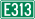 E313