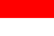 印尼的旗仔