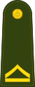 Master Sergeant 3rd Class