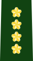 幕僚長たる陸将 (général de corps d'armée)