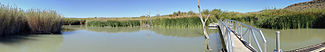 Panoramic view of marsh crossing on the Rio Grande Village Nature Trail