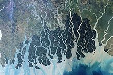 Satellite imagery from 1999 of the Sundarbans forest along the Bay of Bengal, showing its riverine character