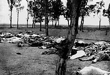 Photograph of the bodies of dozens of Armenians in a field