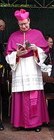 Nederländsk ärkebiskop klädd i lila biretta.