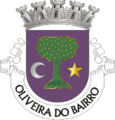 Brasão de armas do município de Oliveira do Bairro, Portugal