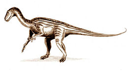 A Thecodontosaurus antiquus rekonstrukciója