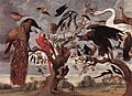 Jan van Kessel: Pośmiewisko sowy