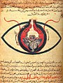 Anatomía del ojo en una obra de Hunayn ibn Ishaq (ca. 1200).