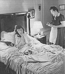 A woman in bed talking on the phone with cats and papers about her, and a servant standing next to the bed