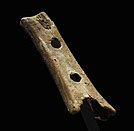 A pierced cave bear bone, possibly a flute, from Divje Babe