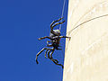 Sculpture 'Itsy Bitsy' by local artist Andrew Whitehead on the water tower.