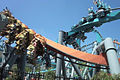 The only Bolliger & Mabillard dueling inverted coaster, Dragon Challenge at Islands of Adventure