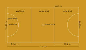 Diagram of netball court. The court is divided into thirds. Dimensions and positions are listed on the diagram.