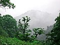 Gozd v pokrajini Gilan