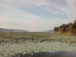 View of Vellayani lake