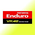 Composit logo del Pertamina Enduro VR46 Racing Team in uso dal 2024