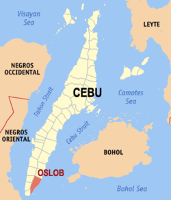 Mapa ng Cebu na nagpapakita sa lokasyon ng Oslob.