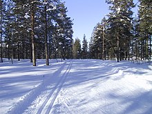 Photograph of a groomed, snow-covered cross-country ski trail