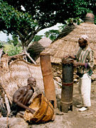 nggu danborrak zuhaitz enborren gainean, Sukur etniakoak, Nigeria