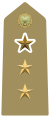 Distintivo di tenente con incarico del grado superiore