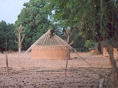 Construction du toit d'une case en Guinée