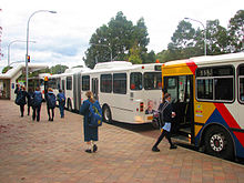 A group of buses with their doors open for entering passengers